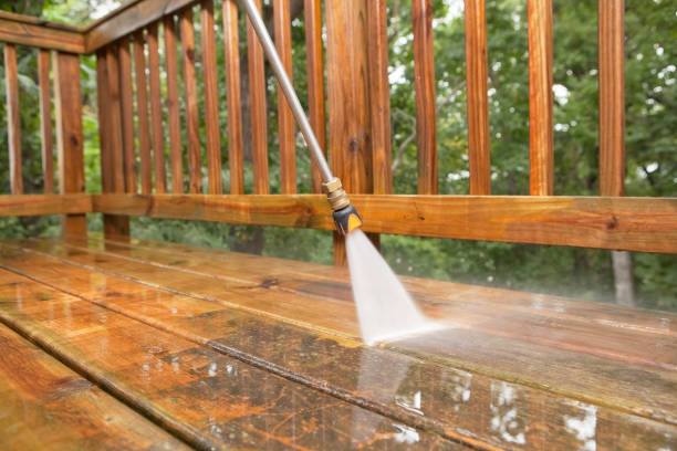 Best Driveway Pressure Washing  in Wolcott, IN